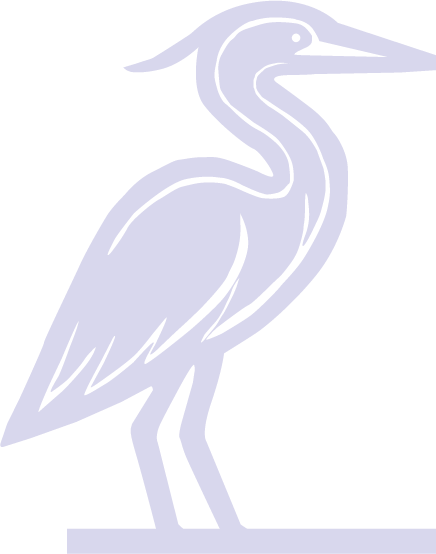 Lakebird Software